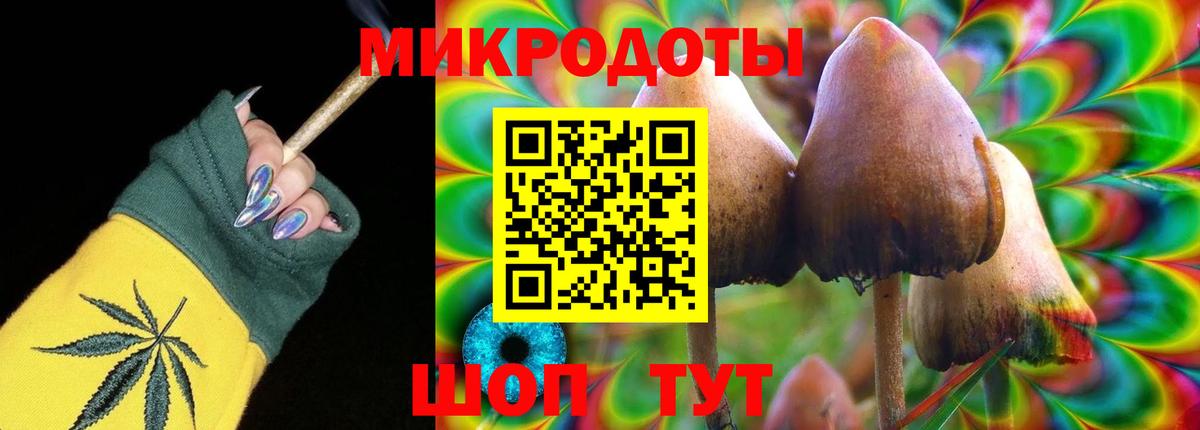 Псилоцибиновые грибы мицелий Сатка